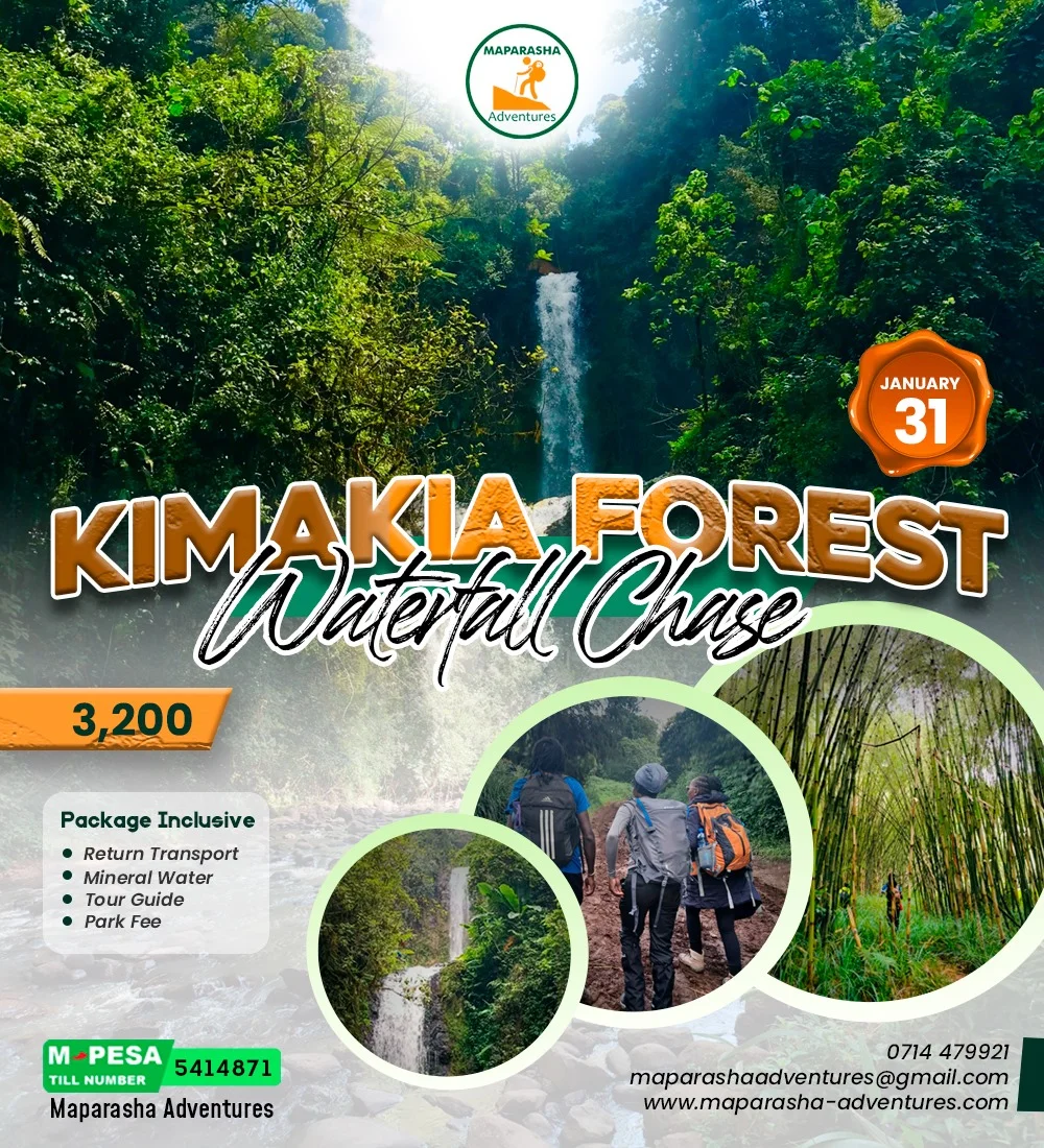 MAPARASHA ADVENTURES - KIMAKIA FOREST